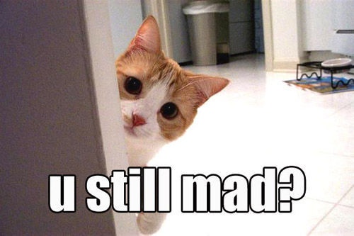 LOL Cat: u still mad?