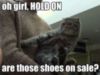 LOLCat: oh, girl, hold on are those shoes on sale?