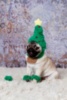 LOL Dog: merry Christmas :)