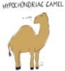 Hypochondriac camel