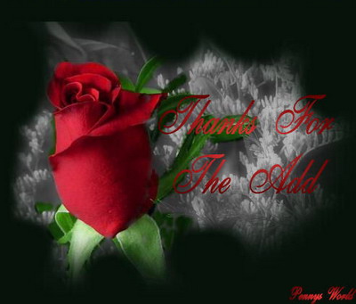 Thanks For The Add Red Rose