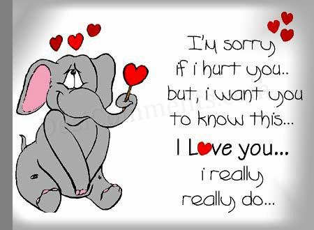 I'm sorry if i hurt you...