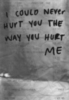 I could never hurt you the way you hurt me