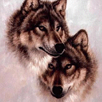 Wolfs