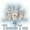 Thank you--Cute Kittens