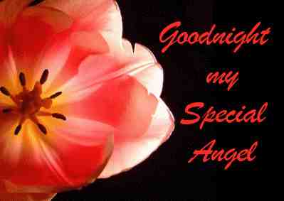 Goodnight my Special Angel