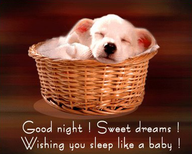 Good Night! Sweet Dreams! Wishing you sleep like a baby!