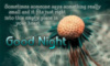 Good Night--Romantic Message