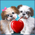 Cute Puppies with Heart
