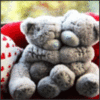 Cute Teddy Bear Hugs