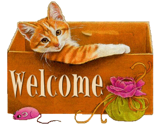 Welcome--Cute Kitten