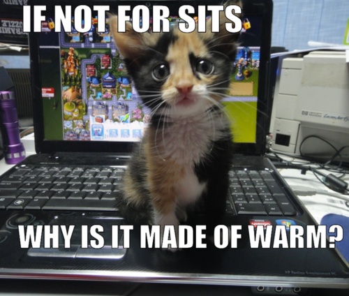 LOL Cat: If not for sits why is it made of warm?