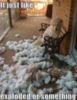 LOL Dog: It just like exploded or something
