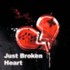Just Broken Heart