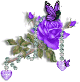 Purple Flowers? butterfly & jewellery