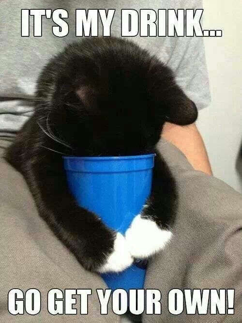 LOL Cat: It's my drink...