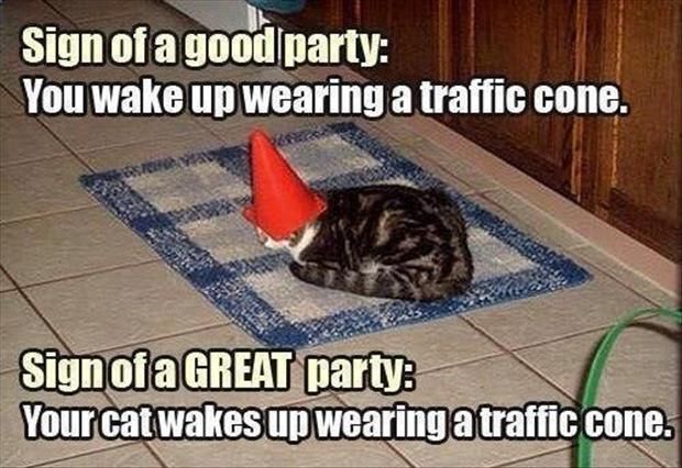 LOL Cat: Sign of a great party