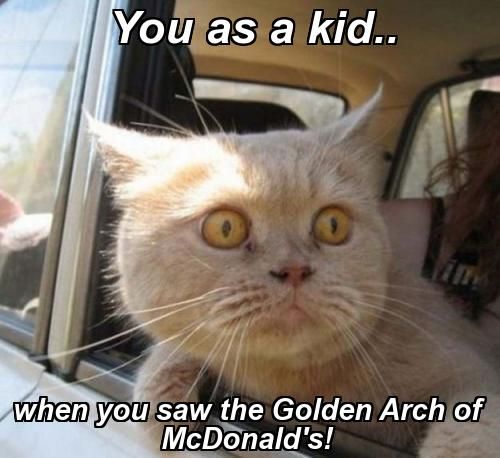 LOL Cat: You as a kid.. 