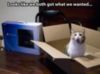 LOL Cat: Looks like we both got what we wanted...