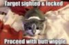 LOL Cat: Target sighted % locked