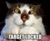 LOL Cat: Target locked