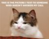 LOL Cat: This is the picture I text to someone who doesn't answer my call