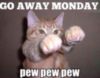 LOL Cat: Go away Monday