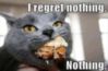 LOL Cat: I regret nothing. 