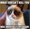 LOL Cat: What doesn't kill you will hopefully try again