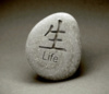Life--Stone