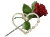 Heart & rose
