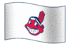 Cleveland Indians Flag