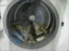 LOL Cat: in a washing mashine