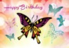 Happy Birthday -- Butterflies