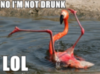 LOL: I'm not drunk