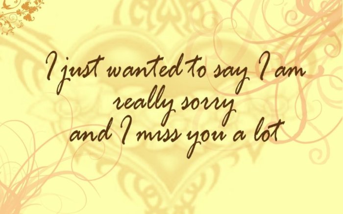 I just wanted to say I am really sorry and I miss you a lot