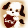 Sorry! -- Cute