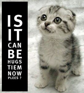 LOL Cat: need a hug