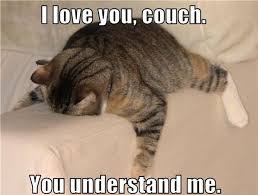 LOL Cat: I love you, couch.