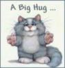 A Big Hug...