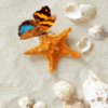 Summer -- Butterfly on the beach