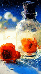 Red Flower in the bottle
