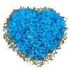 Blue flower heart