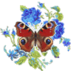 Flowers and Butterfly