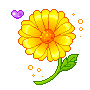 Yellow Flower with Love