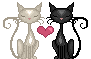 Love Heart -- Bkack and White Cats