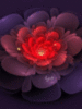 Fantasy Flower Animated