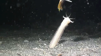 Under water