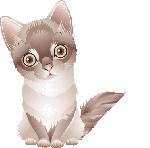 Cute Litle Kitten