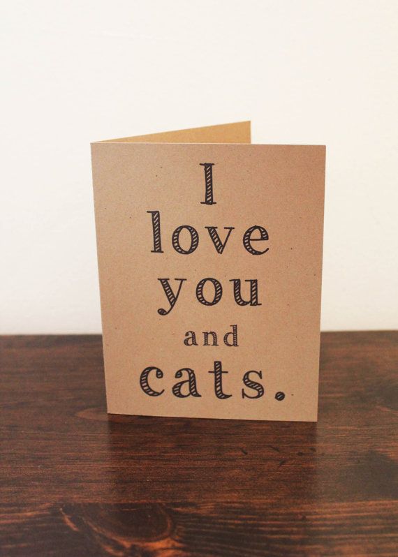 I love you and cats